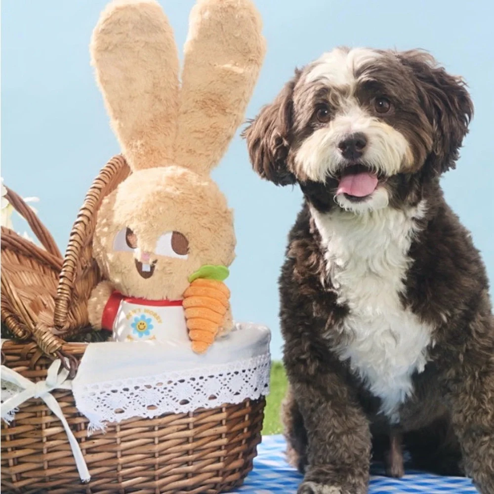 Bark Box XL Veggie Reggie Easter bunny Dog Toy NEW